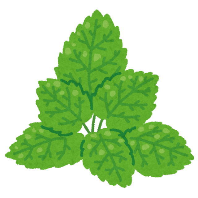 leaf_mint (1).png