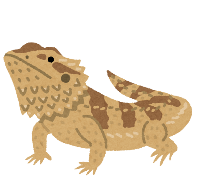 lizard_futoagohigetokage.png