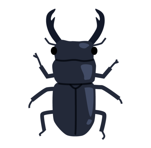 stag_beetle_1743-768x750.png